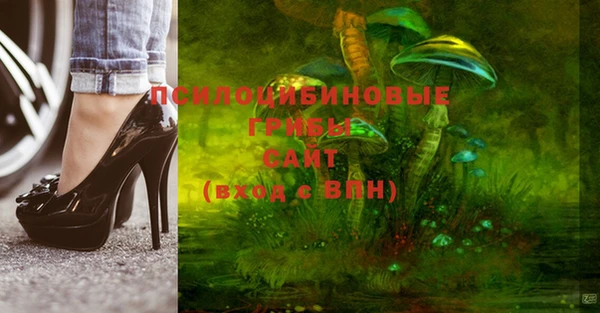 первитин Нея
