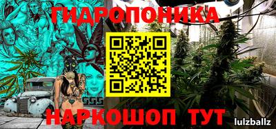 кокс Будённовск