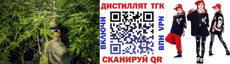 купить  сайты  Переславль-Залесский  ТГК концентрат 